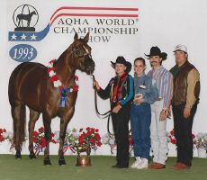 ROCK MY FANCY 1993 WORLD CHAMPION AMATEUR AGED MARE.jpg